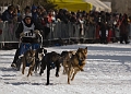 2009-03-14, Competition de traineaux a chiens au Bec-scie (112036)